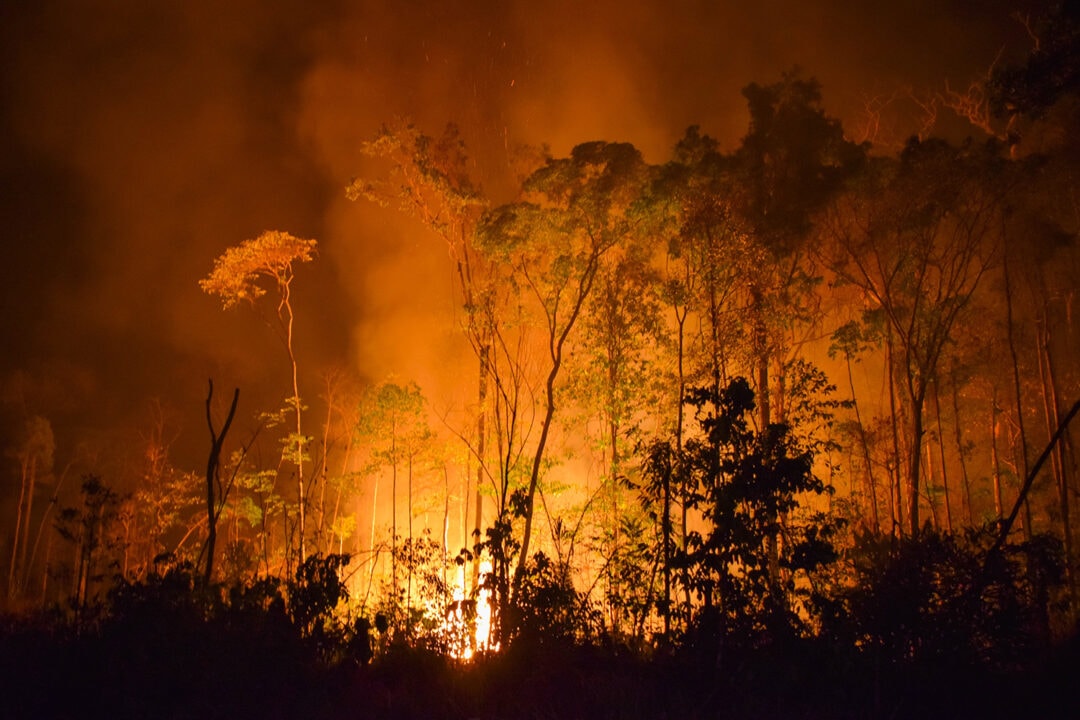 Fogo e desmatamento transformam Amazônia em fonte de carbono para a atmosfera: “o problema da Amazônia é a ação humana”