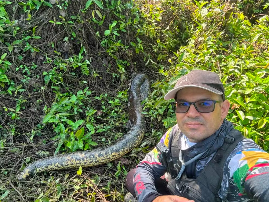 Pescador encontra sucuri de 3 metros morta perto de rastros de onça em Roraima