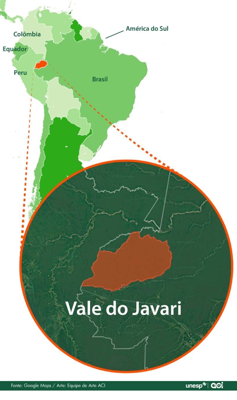 Sobrevivência de povos isolados na Amazônia depende de Estado brasileiro adotar novas estratégias, defendem pesquisadores