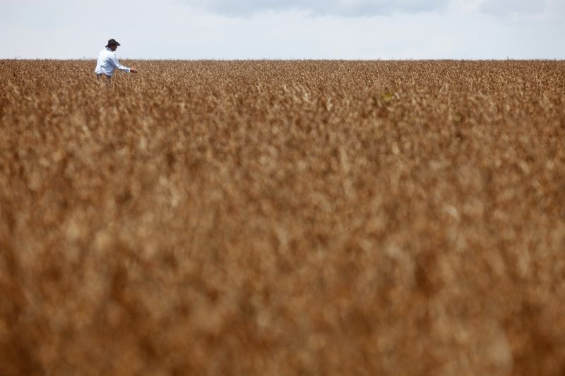 Waack: EUA vêm com mais tarifa; Brasil é um dos mais taxados