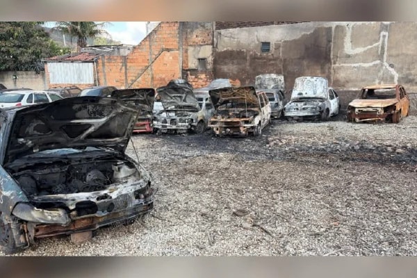 Queimar mato em lote pode acabar em carros destruídos e prisão