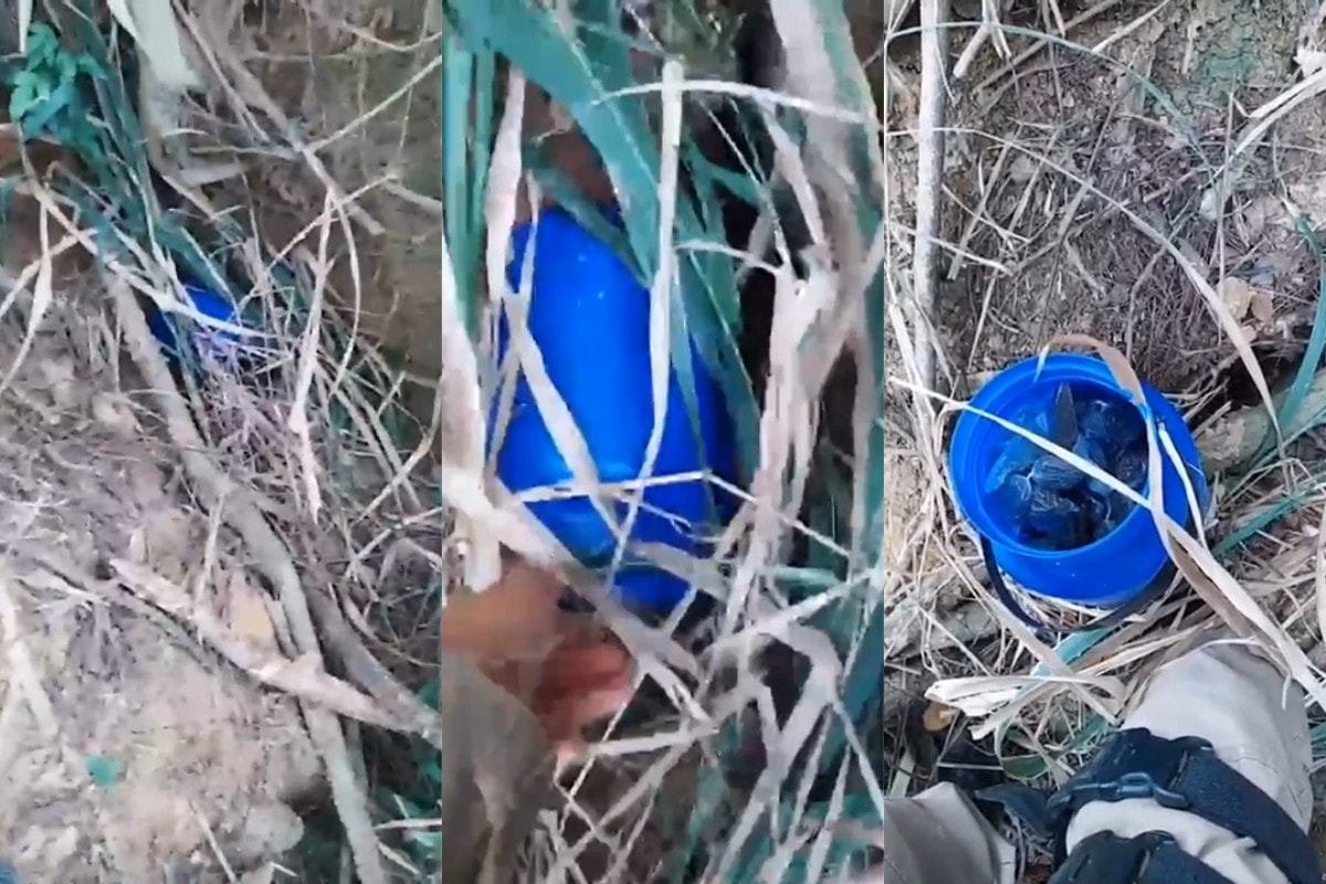 MG: PM prende trio por tráfico e apreende droga escondida em mata. Vídeo