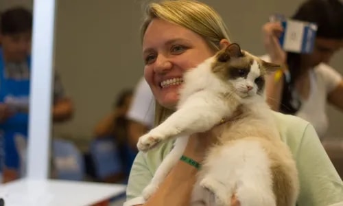 Shopping de Salvador recebe Exposição Internacional de Gatos
