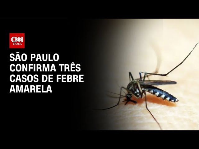 RS confirma primeira morte por dengue em 2026