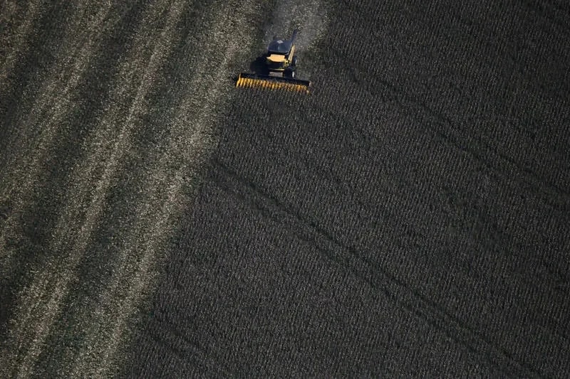 Relatório sobre agricultura na Amazônia Legal aponta que região concentra dois terços de assentamentos ocupados por famílias
