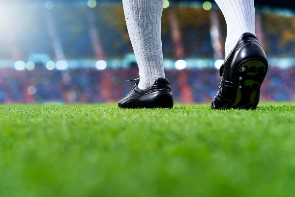 Odds Brasileirão 2026: Palmeiras é favorito