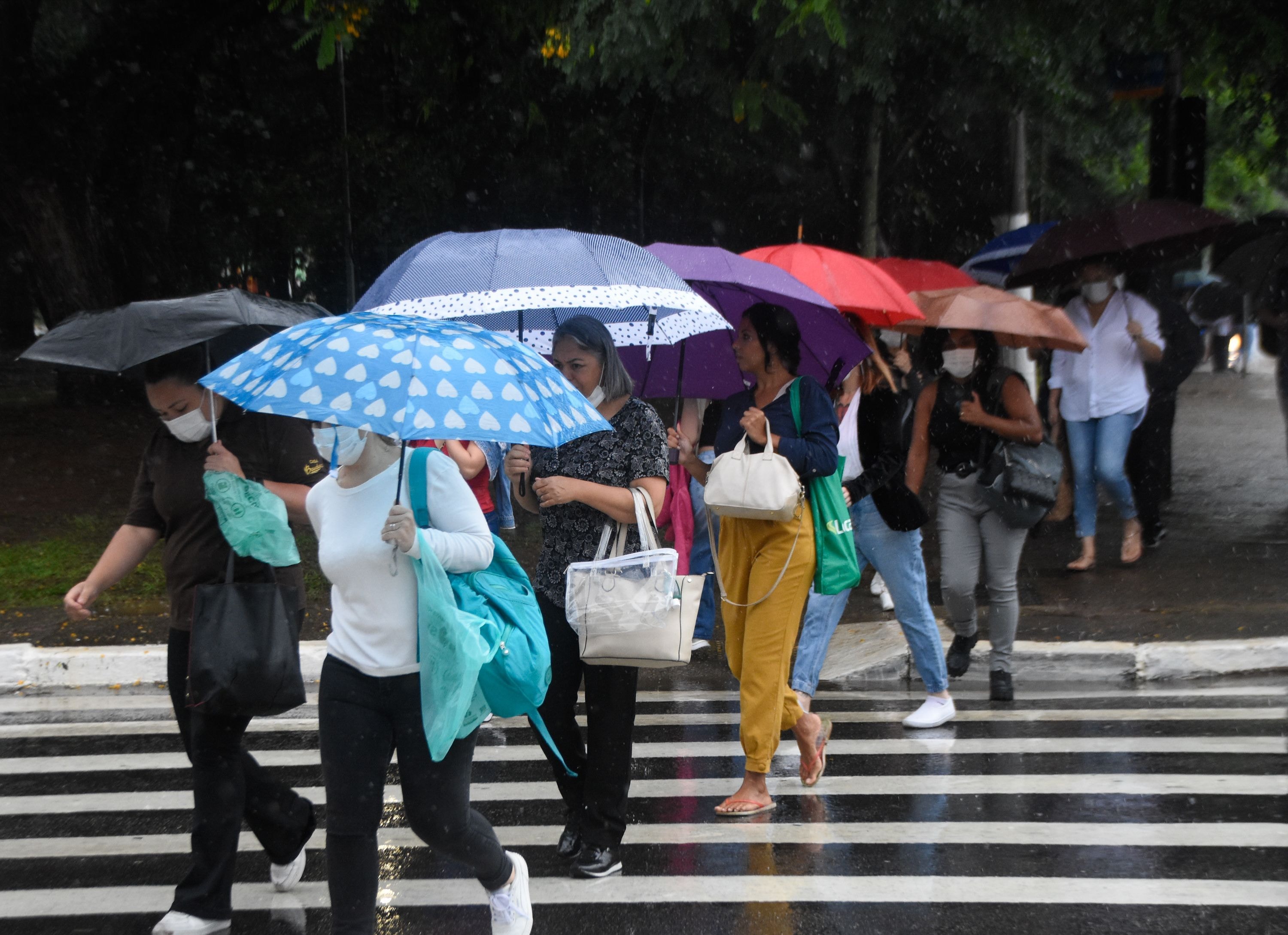 De temporais a geadas: veja previsão desta quarta-feira (23) para o Brasil