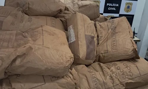 Polícia recupera mais de 2,8 toneladas de pó de cacau roubadas na BA