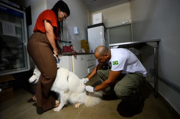 Após caso de raiva registrado no DF, Saúde monitora outros 2 animais