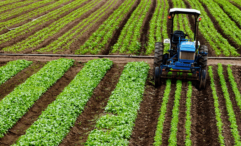 Área segurada no campo pode cair abaixo de 3% em 2026, diz Mapfre