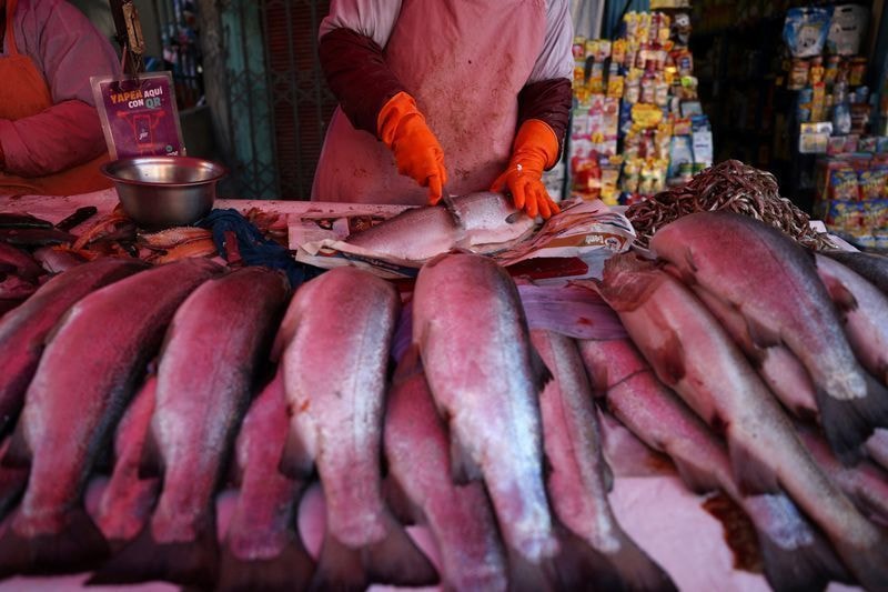 Tarifaço: Brasil poderia barganhar com EUA sobre terras raras, diz ex-OMC