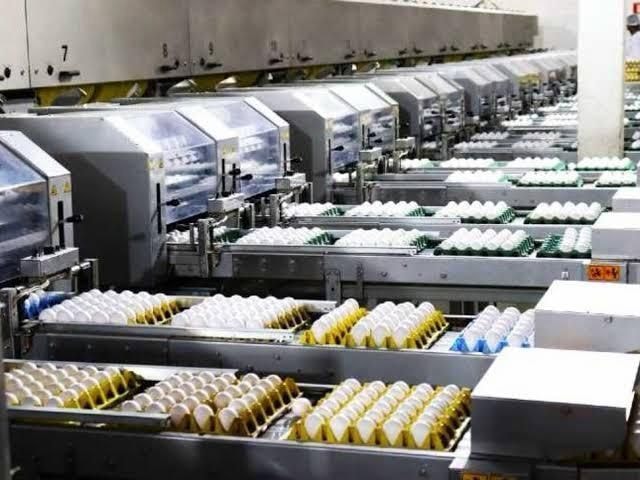 Mantiqueira investe R$ 565 milhões em expansão e automação