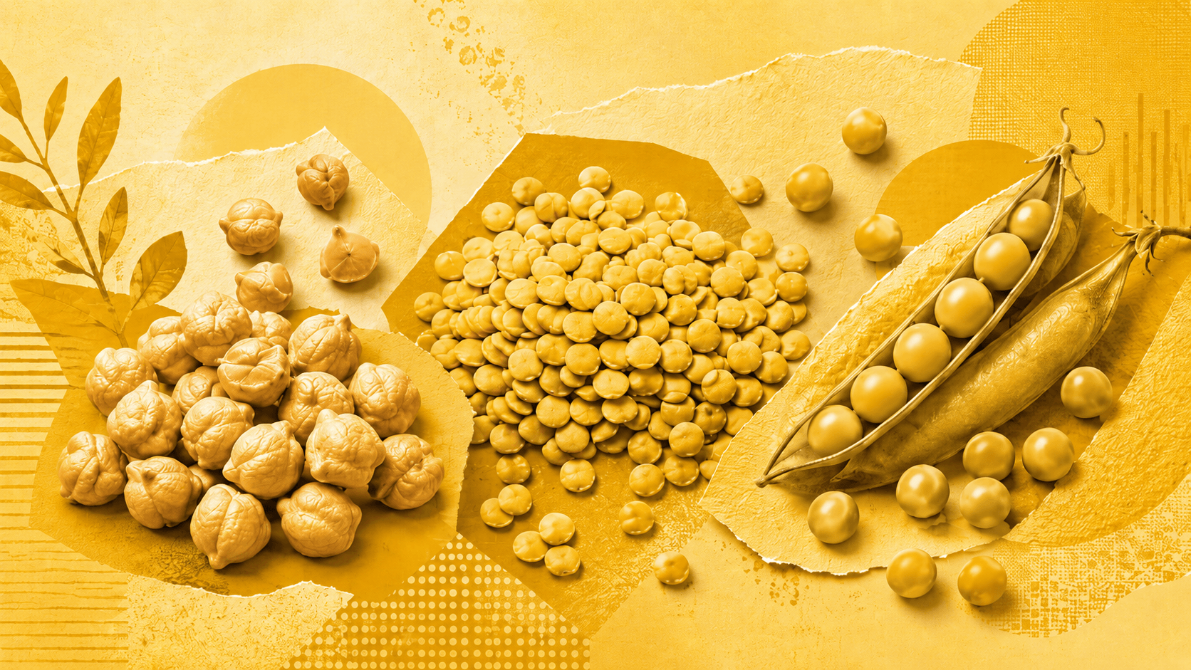 Plena Alimentos aposta em exportações, confinamento e novos negócios