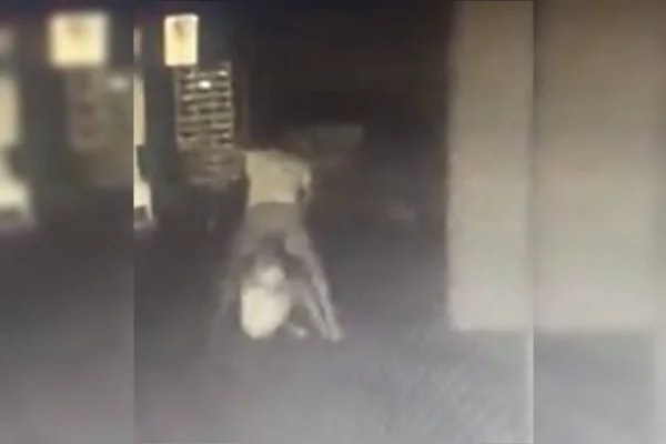 Acusado de jogar mulher do 10º andar é citado como “Escorpião do PCC"