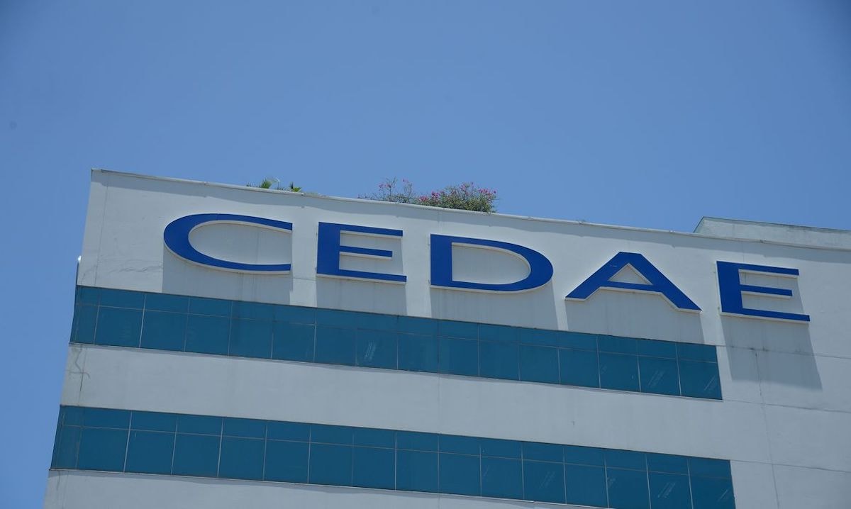 Diretor técnico da Cedae é alvo de pente-fino em contratos milionários