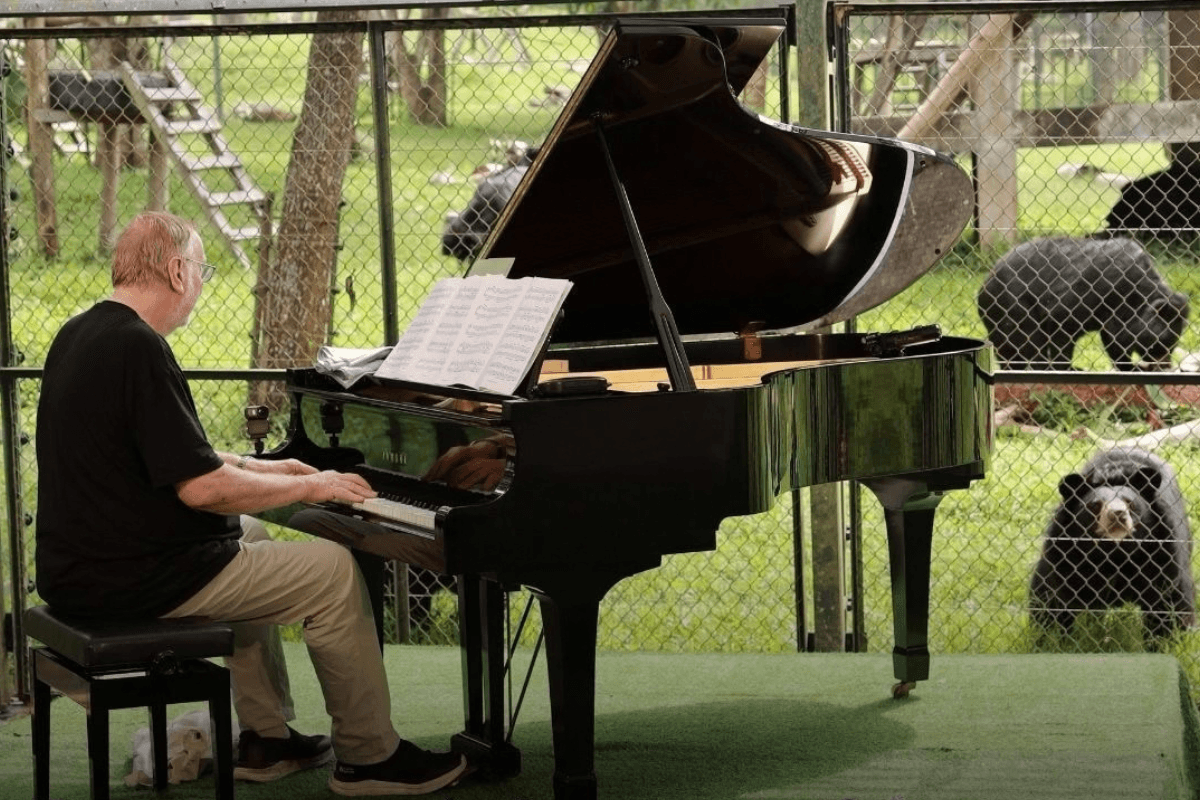 Músico faz show particular para alegrar ursos vítimas de maus-tratos