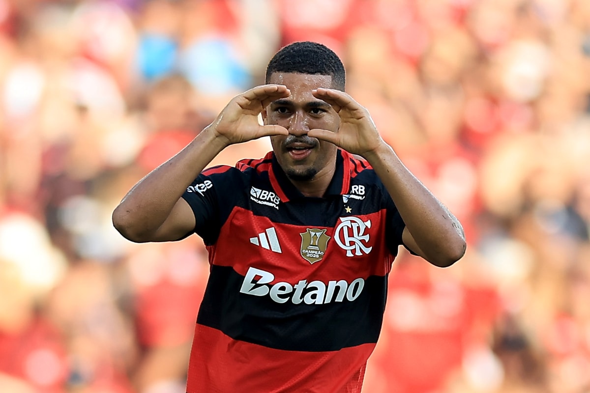 Brasileirão: confira os melhores momentos desse domingo (30/8)