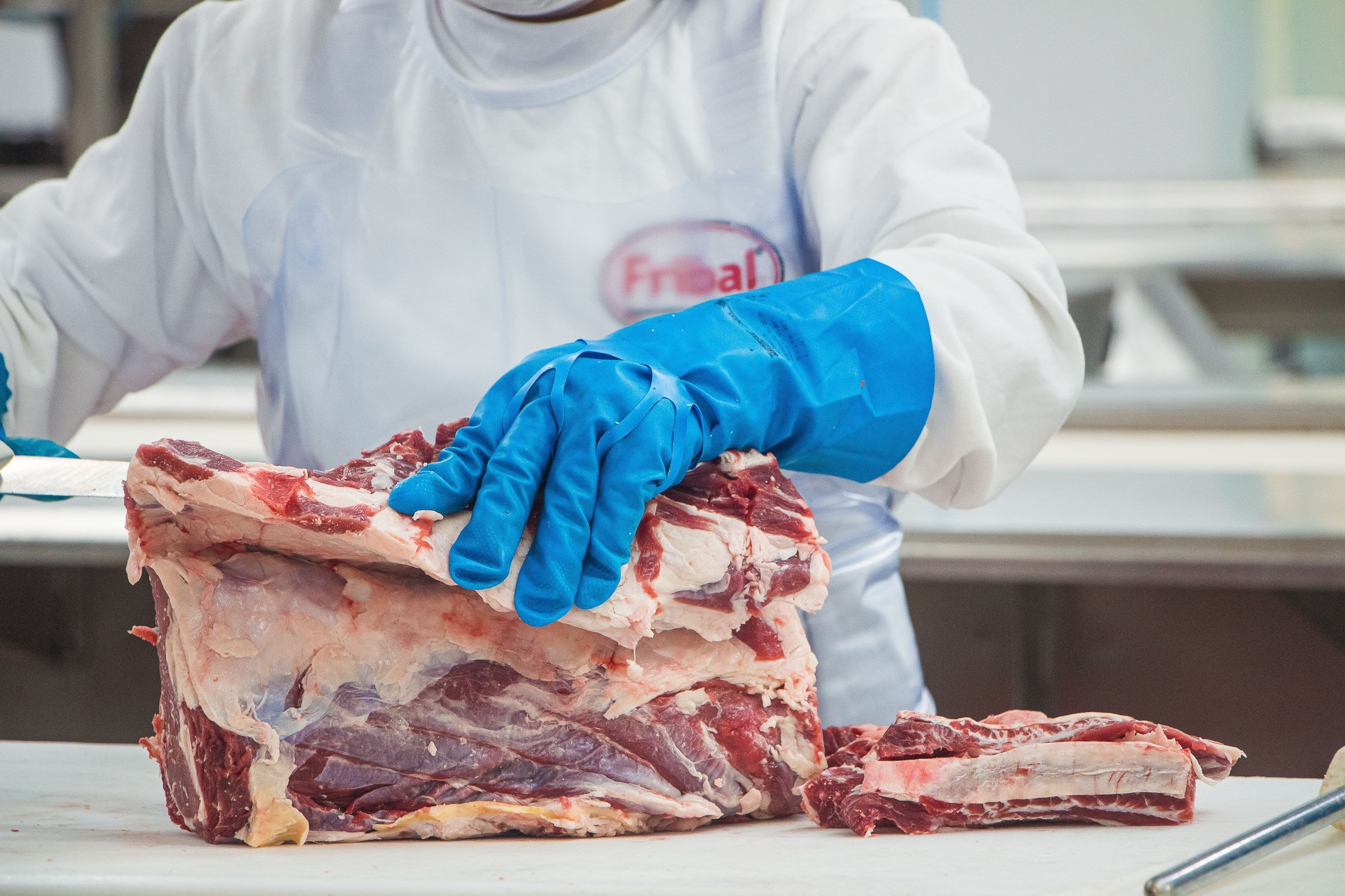 Com crédito de R$ 250 milhões, suinocultura avança em Mato Grosso do Sul