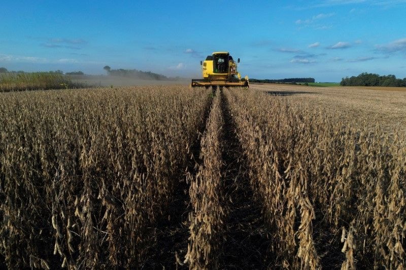 Commodities avançam em Chicago com piora de safra e alta do petróleo