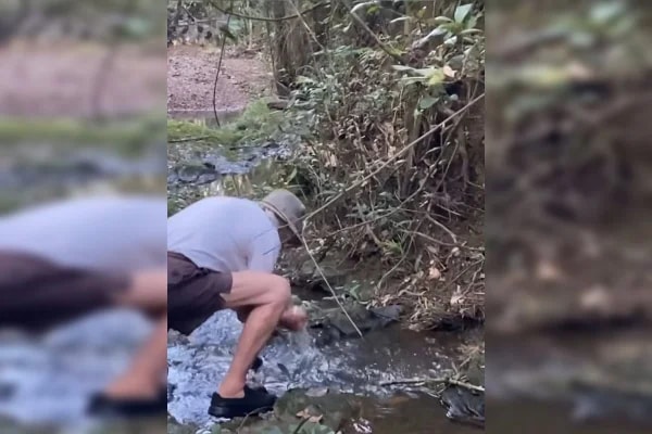 Mês do Meio Ambiente: os 92 anos de um guardião do Cerrado