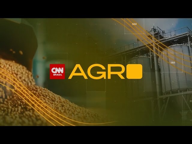 Dia Nacional do Café: Brasil consome 1,4 mil xícaras por pessoa ao ano