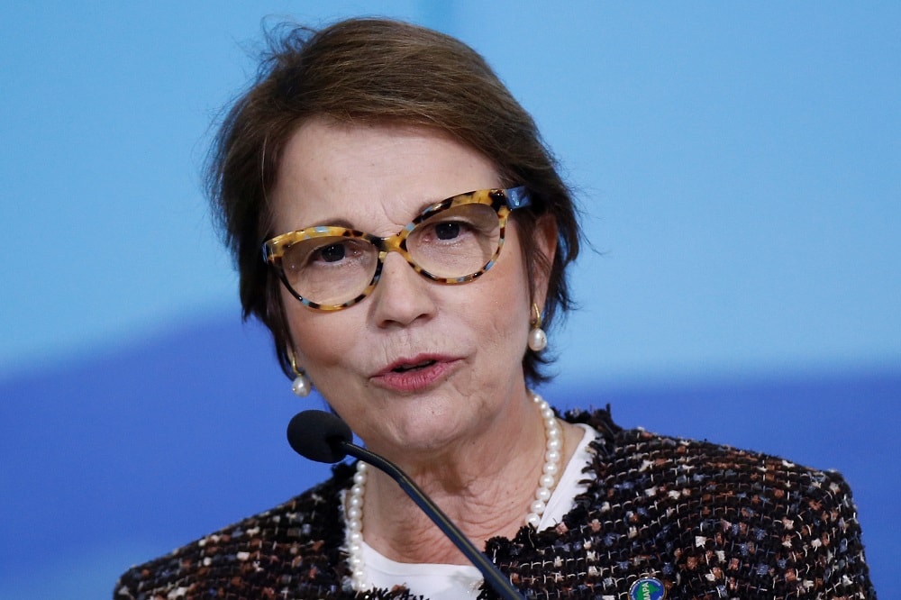Dejeto suíno pode substituir fertilizante fosfatado na agricultura