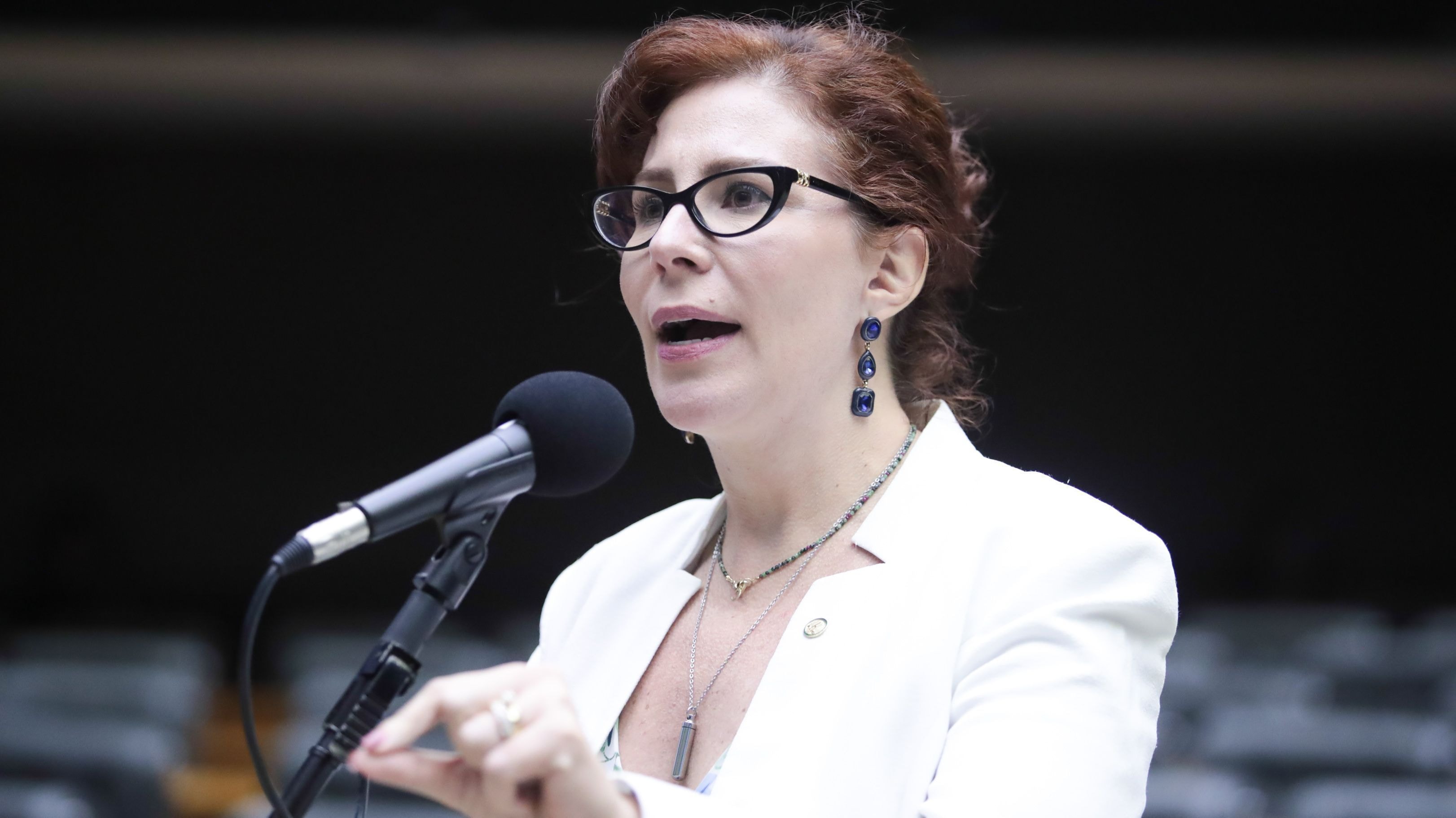 Dino: não há “ilegalidade” à concessão de habeas corpus de ofício à Deolane