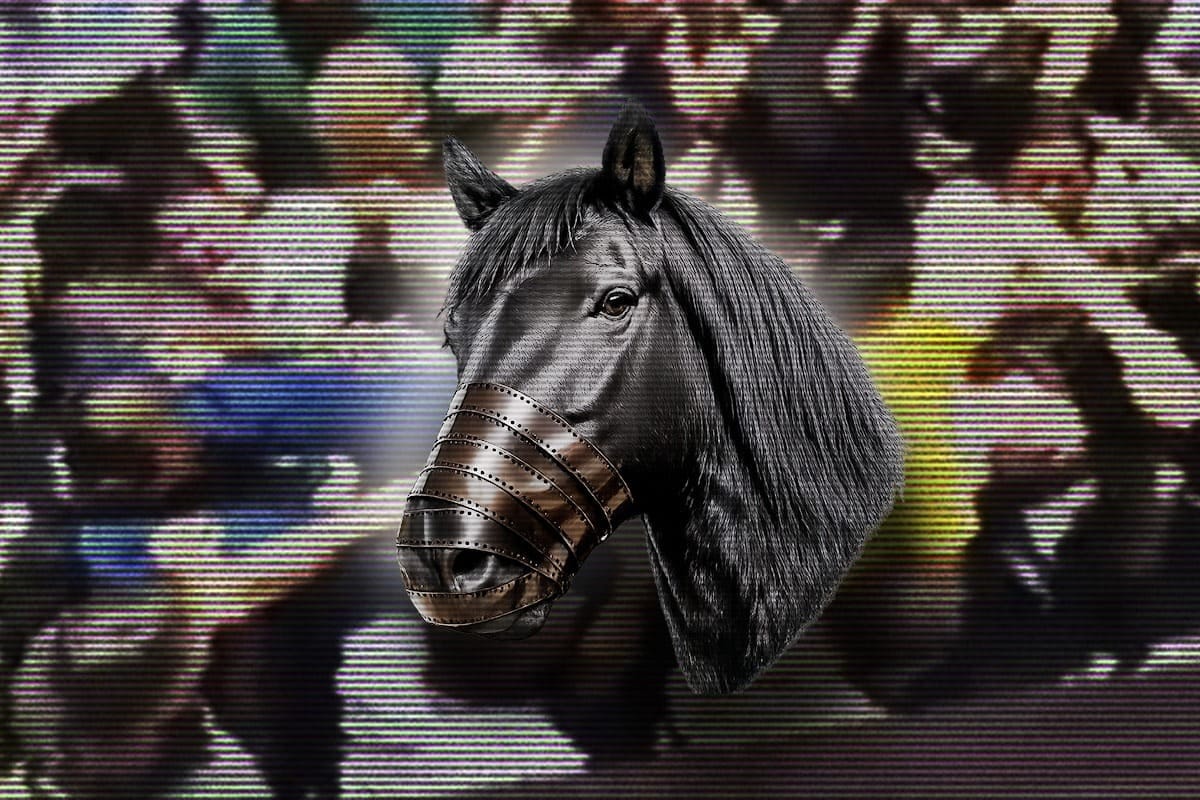 Caso Dark Horse: polícia busca servidores que validaram pagamentos a ONG