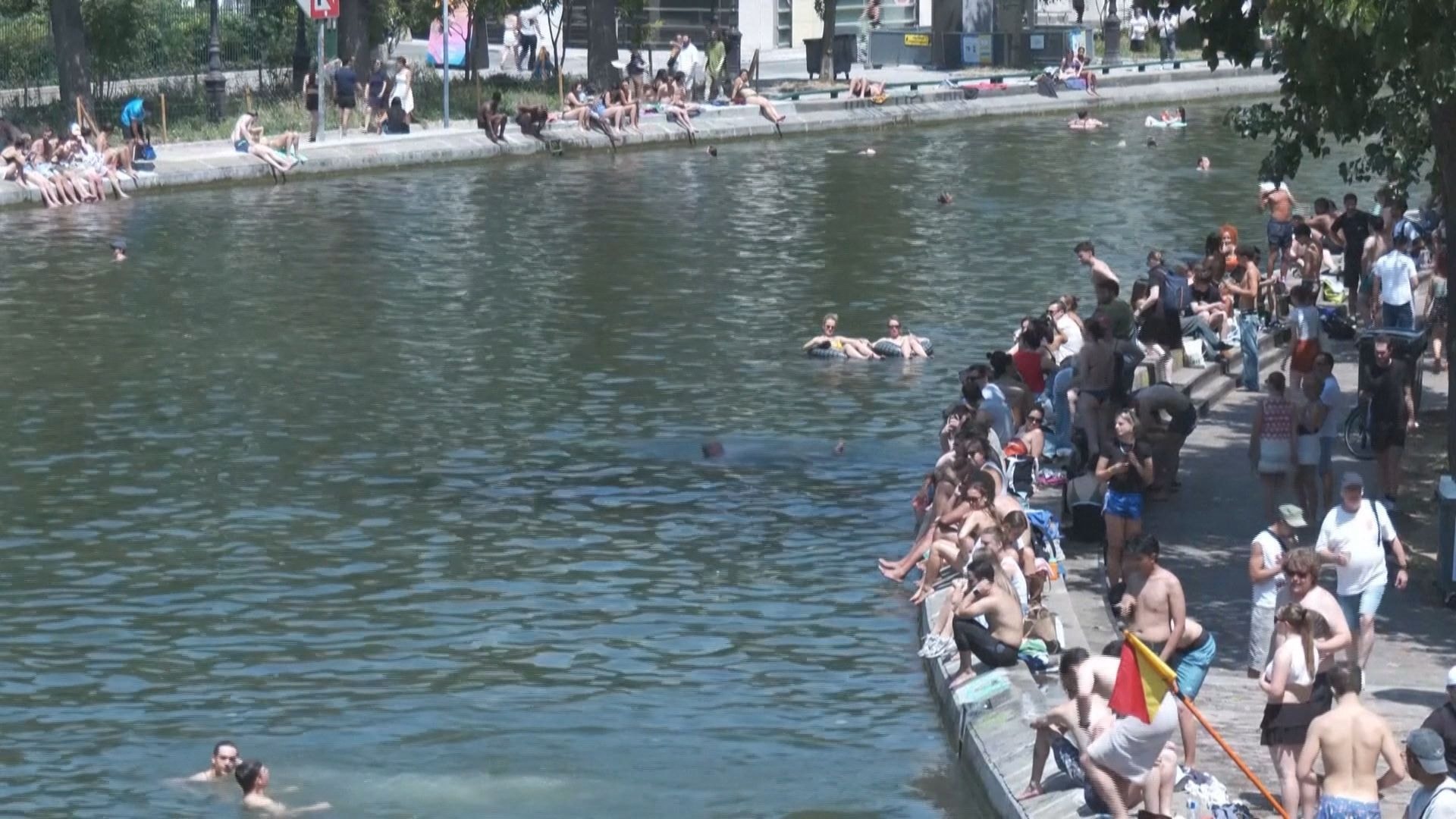 Piscinas e sorvete: Animais de estimação driblam onda de calor na França