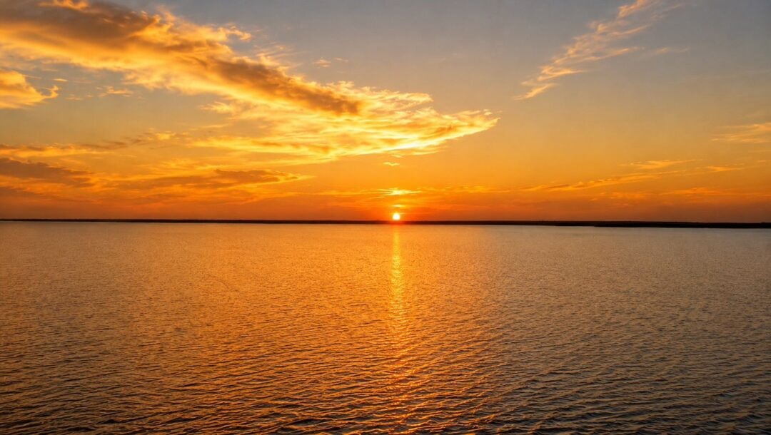 Quando a Amazônia vai a leilão
