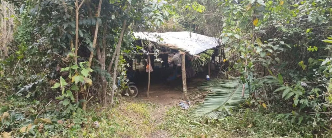Justiça Federal determina envio da Força Nacional para conter invasão em terra indígena no Pará