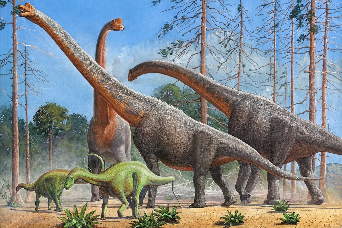 Dinossauro de 20 metros é descoberto em escavação para obra no Maranhão