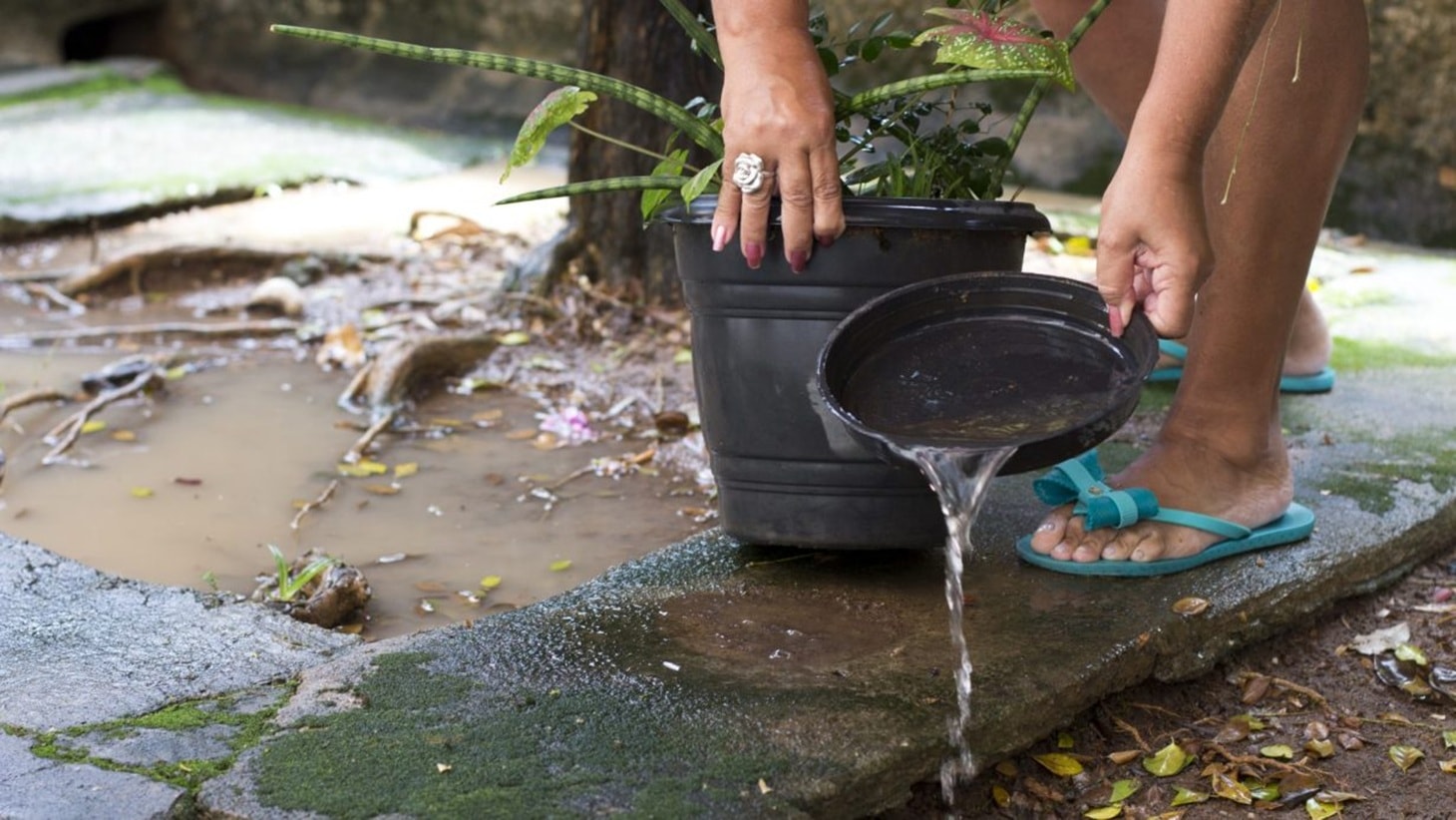 Minas Gerais registra 422 cidades em alerta para o Aedes aegypti