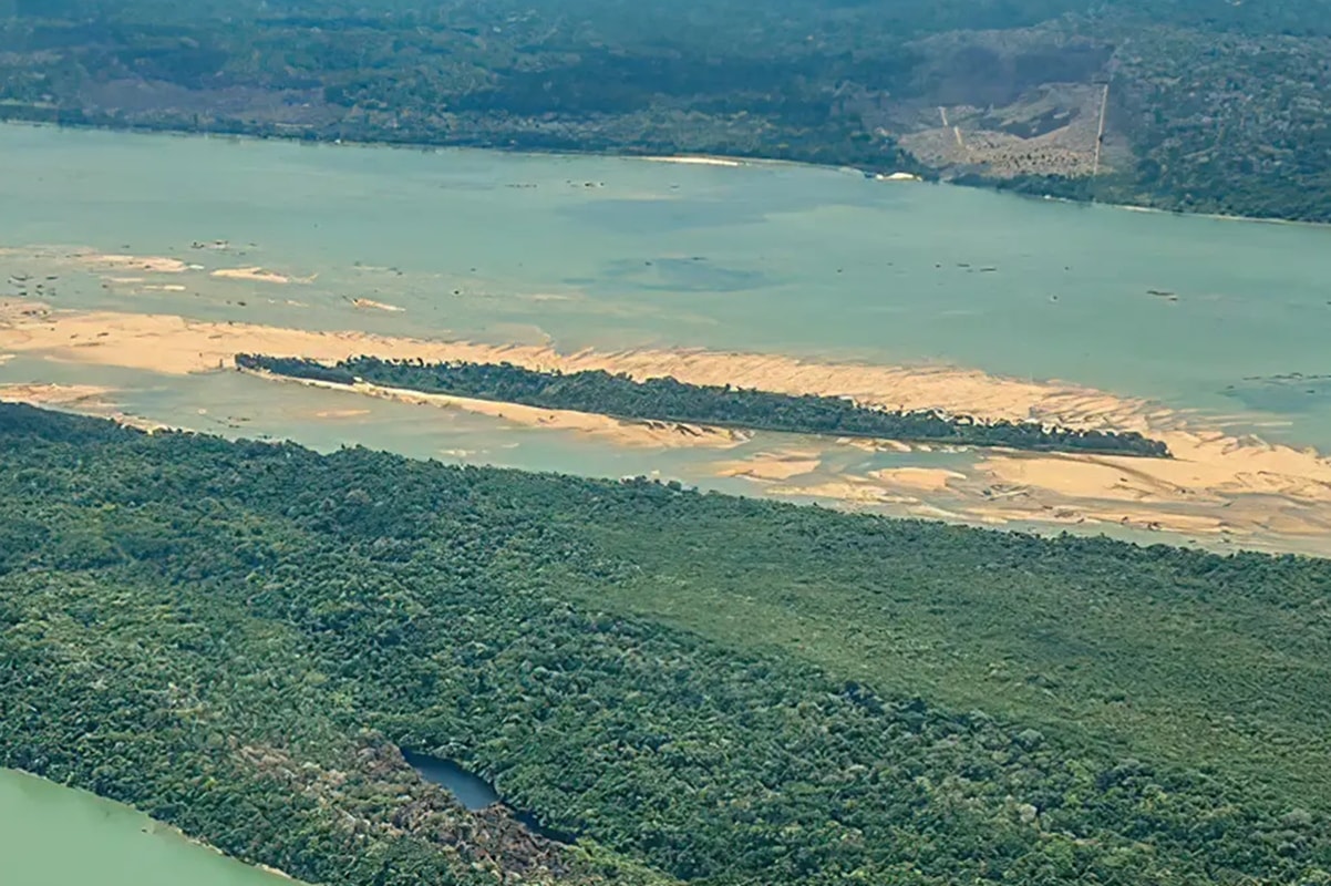 Criança de 8 anos é atacada por onça na Terra Indígena no Pará