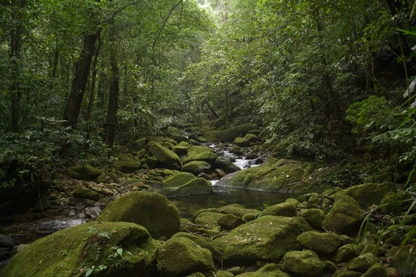 Após 10 anos, MPF fecha acordo sobre área de preservação no litoral de SP
