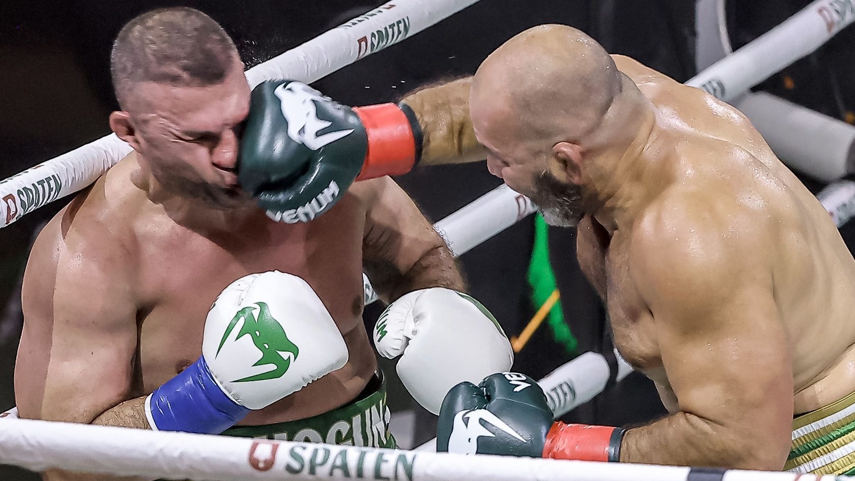 Lutador de MMA comemora vitória com gambá de estimação no ringue; veja