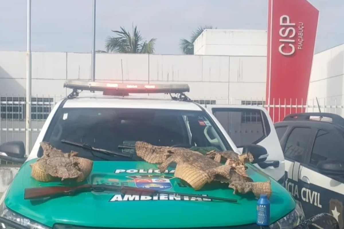 Polícia apreende espingarda e pele de três jacarés em Alagoas