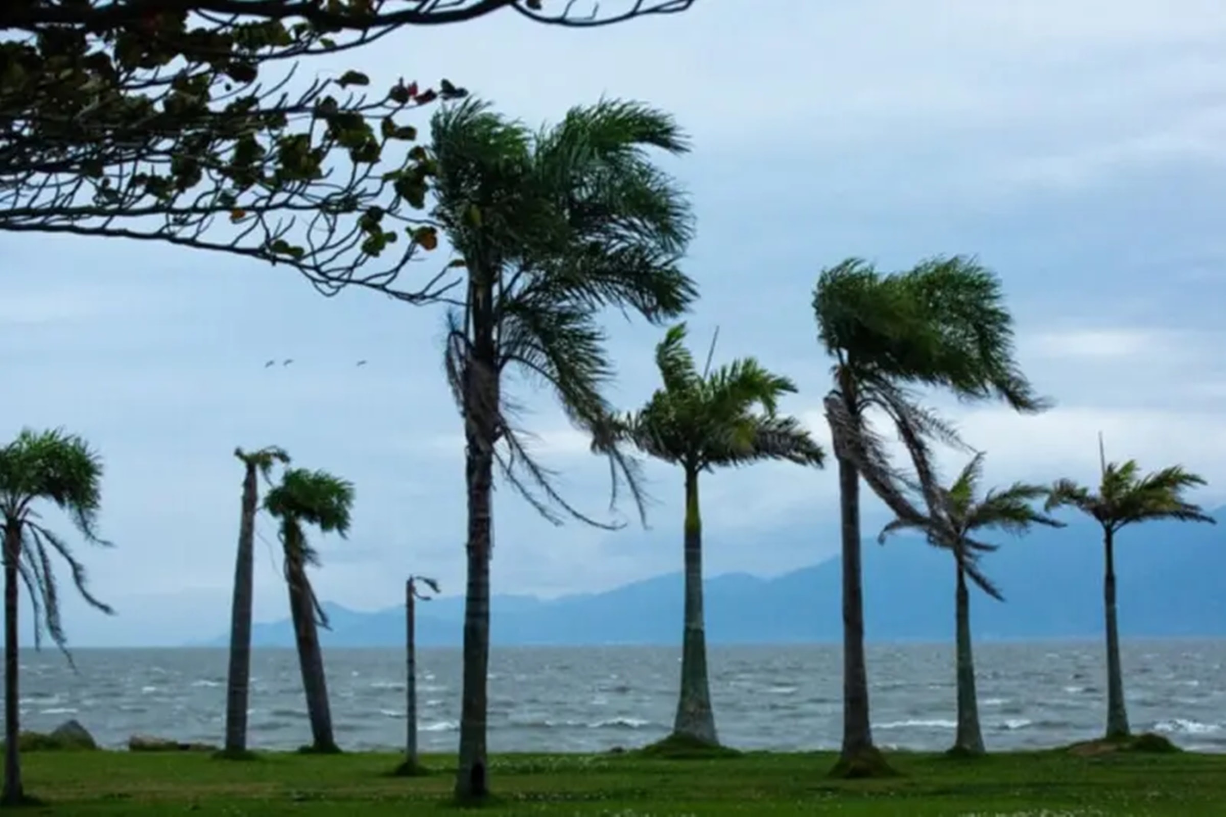Clima: ciclone extratropical traz frio, vendavais e tempo seco ao país