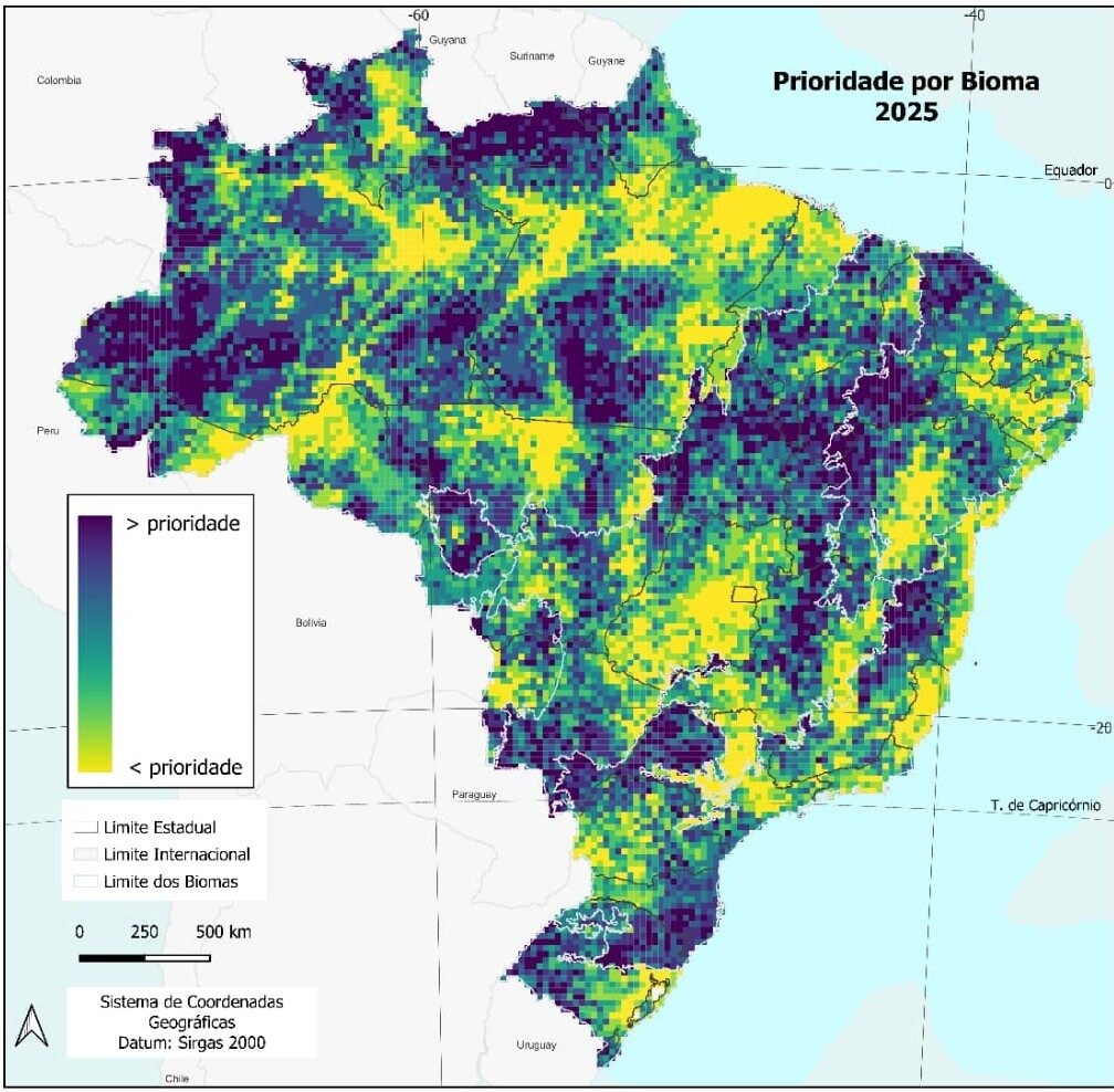 IBGE propõe metodologia para orientar levantamentos sobre a flora brasileira