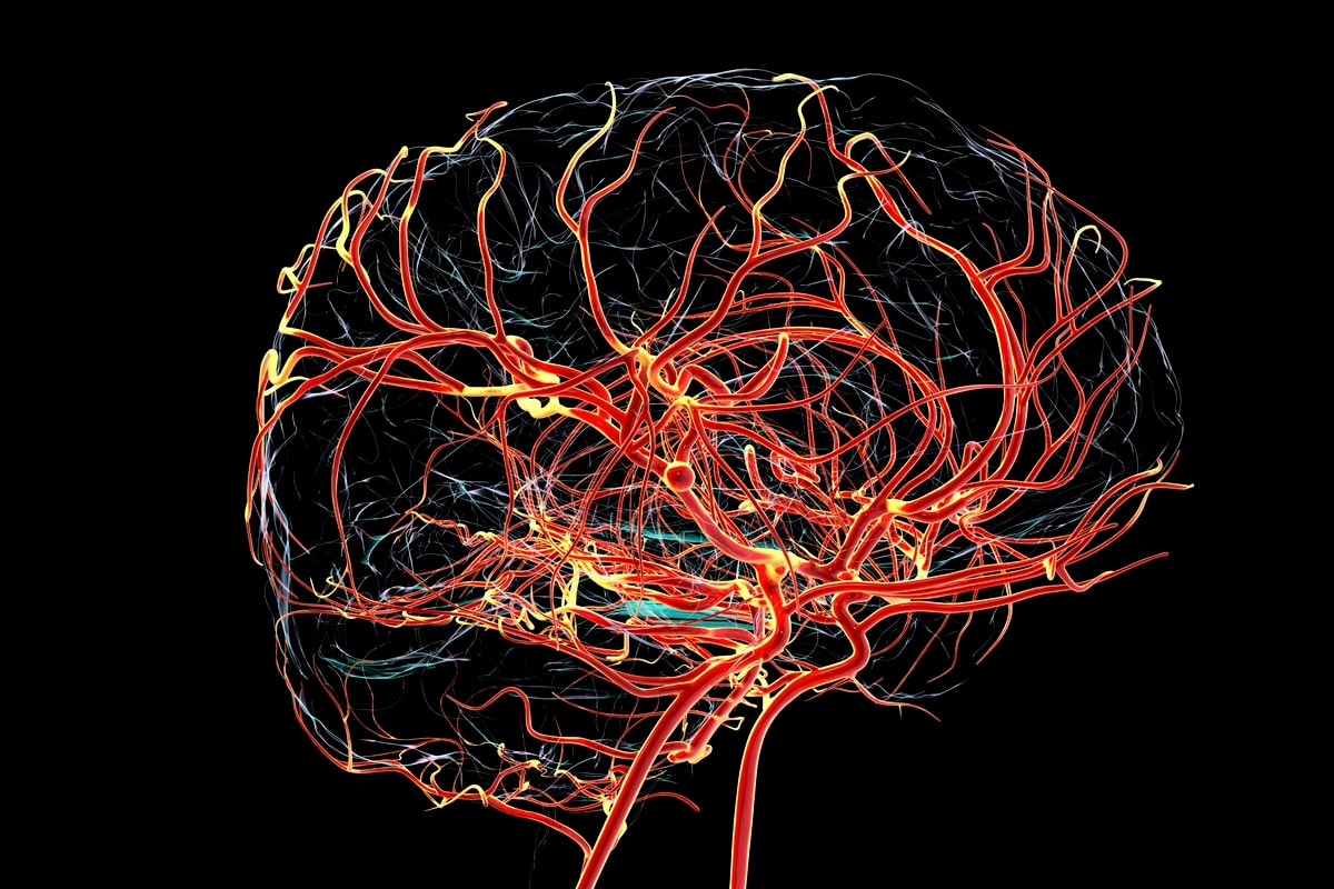 Estudo da Fiocruz investiga mutação genética por trás da epilepsia