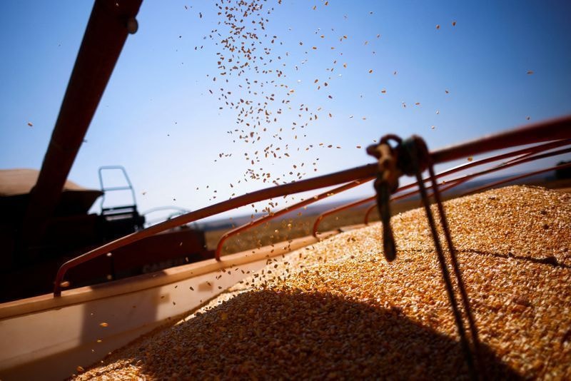 SLC Agrícola inaugura maior algodoeira da companhia no Piauí