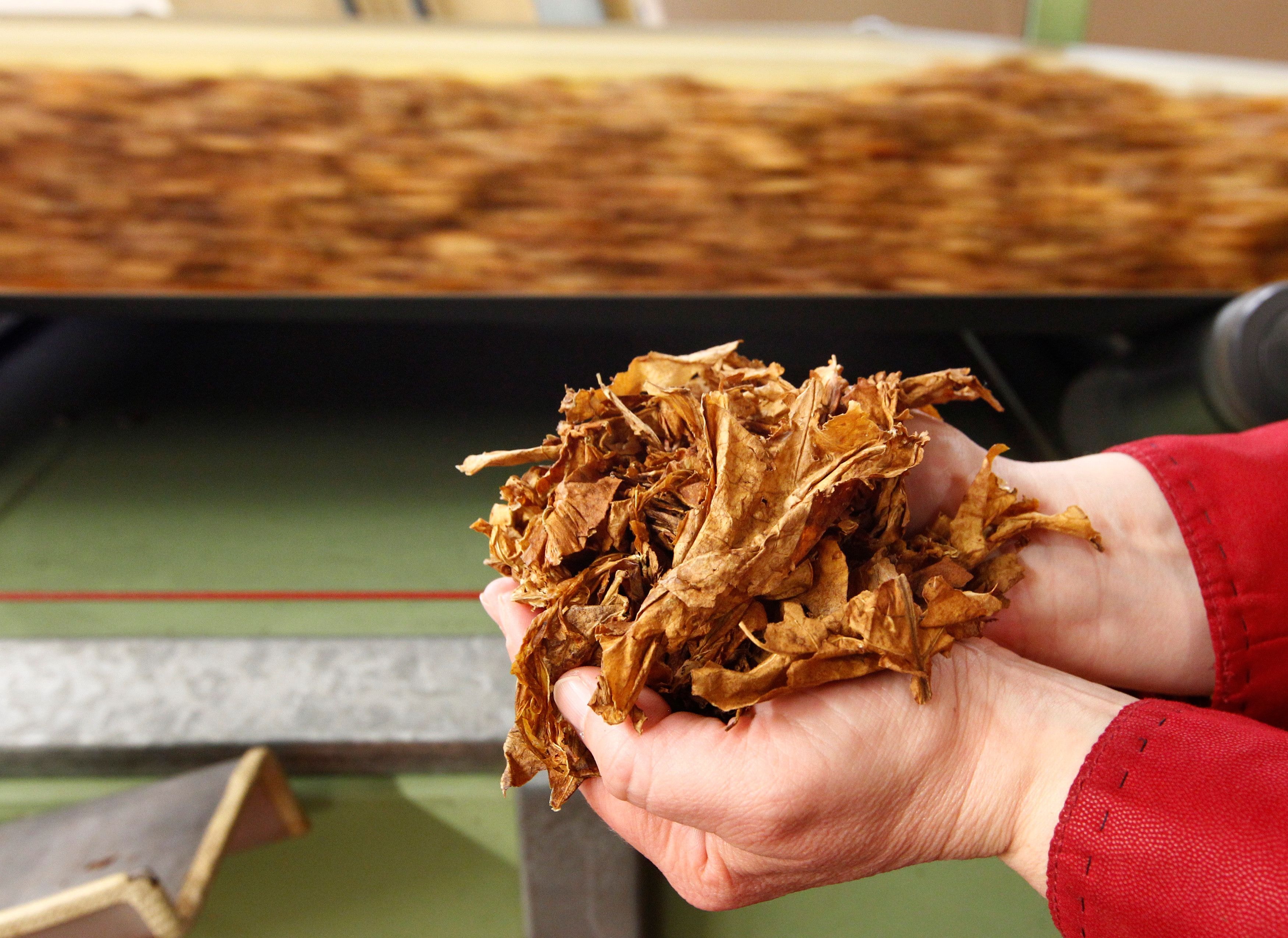 British American Tobacco cortará 9.000 empregos com plano de redução de gastos