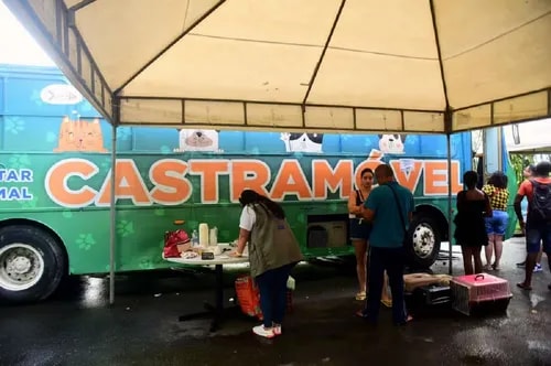 Castramóvel oferece castração gratuita de cães e gatos em Salvador
