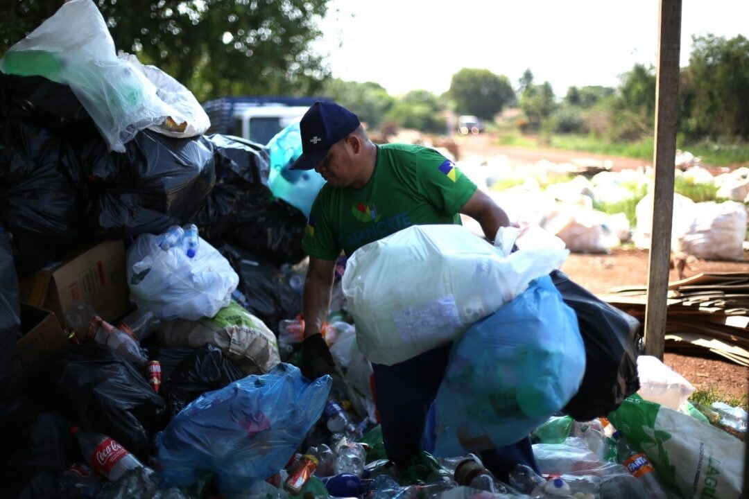 De garrafas e latinhas a novos produtos: o que acontece com os recicláveis depois do descarte?