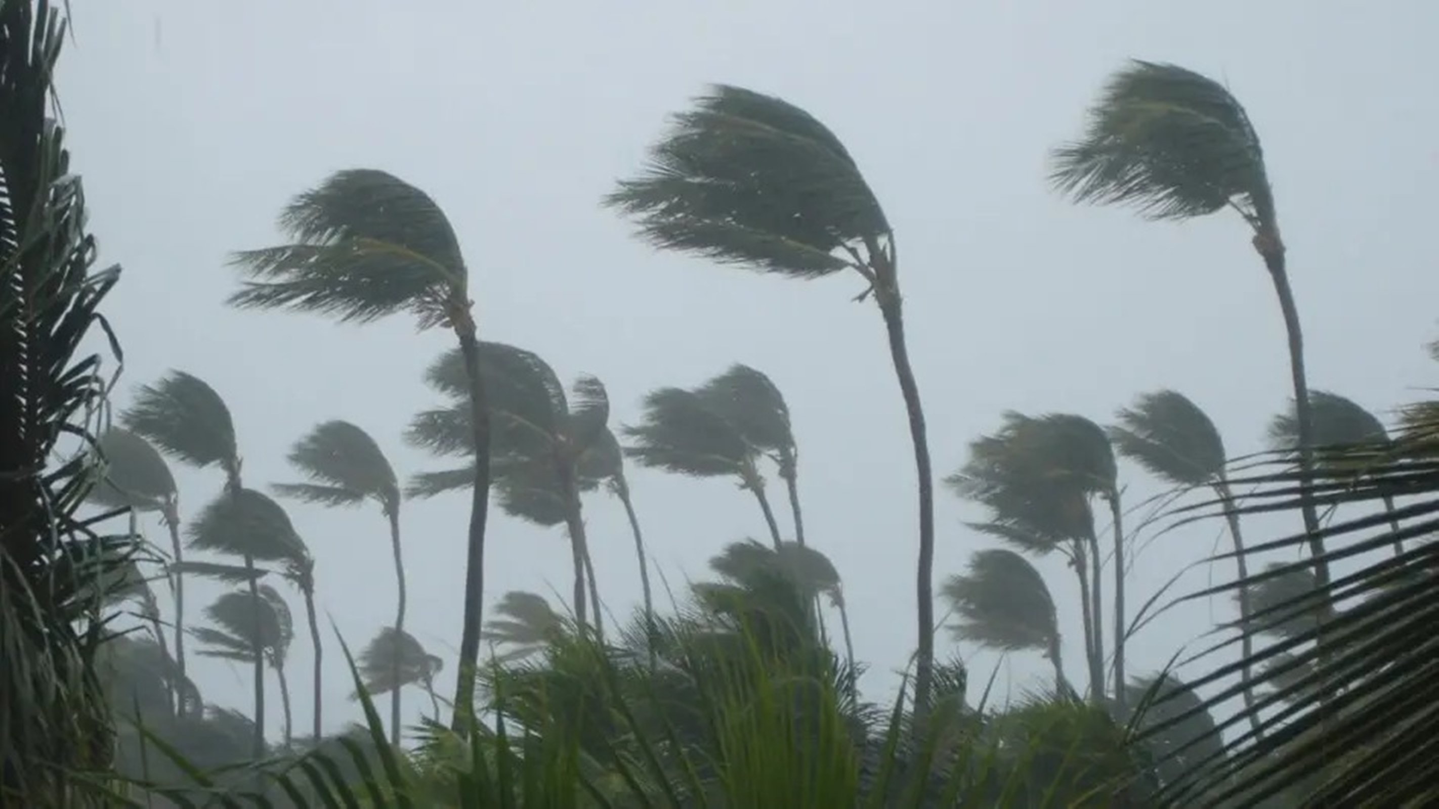 Ciclone bomba: Rio suspende aulas por risco de ventos acima de 90 km/h