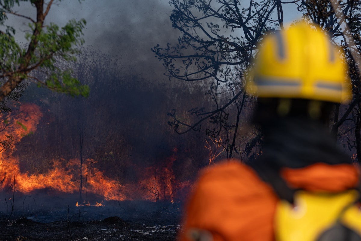 Seca e ações humanas aumentam risco de incêndio nesta época do ano