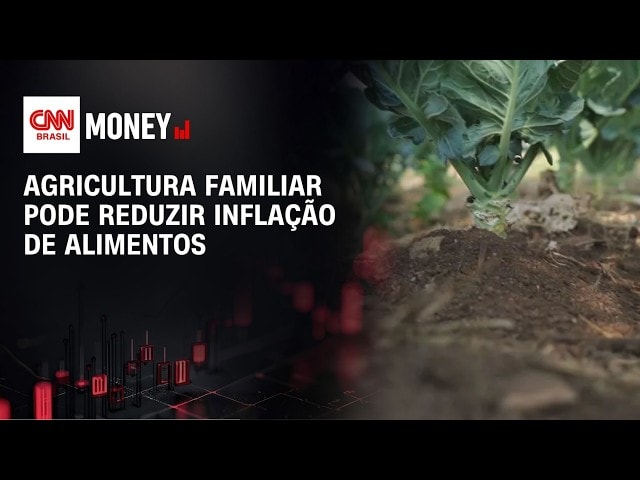 A Tal da castanha lidera mercado de bebidas vegetais no brasil