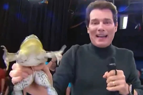 Ação contra Celso Portiolli e SBT por crueldade animal pode ganhar perícia