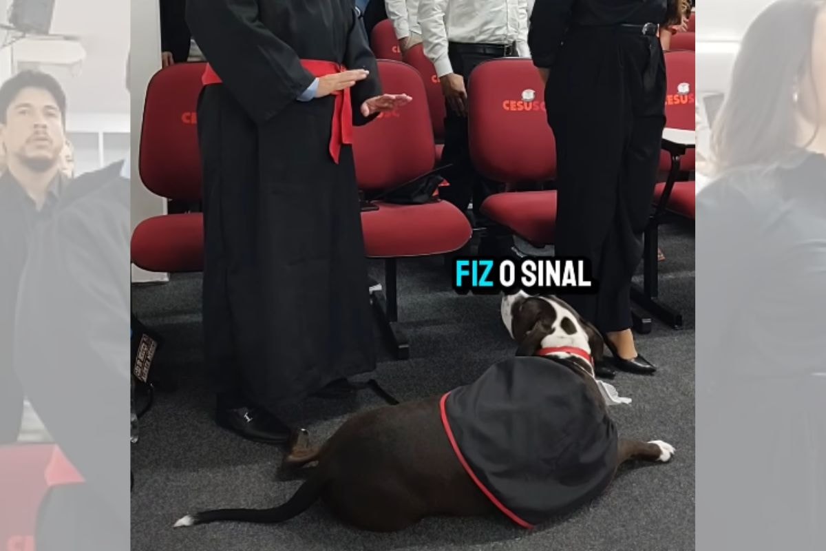 Cão de assistência acompanha advogado autista em colação de grau