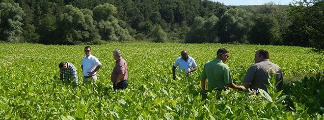 Tabaco brasileiro reforça ações para exportação à China